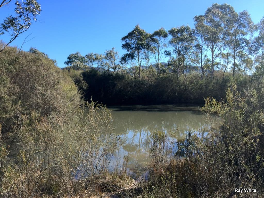 1315 Cooma Road, Braidwood NSW 2622, Braidwood - Thumbnail 2
