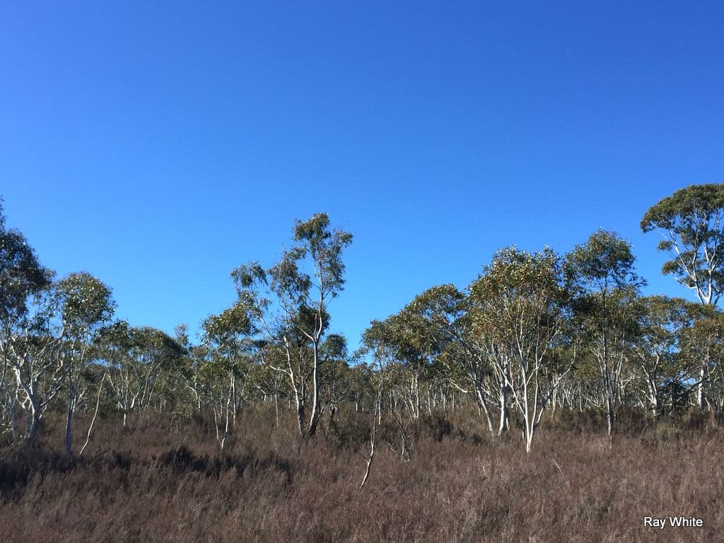 1315 Cooma Road, Braidwood NSW 2622, Braidwood - Thumbnail 6