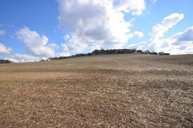 "Huxley's" Curio Highway, Marrabel SA 5413, Marrabel - Thumbnail 3