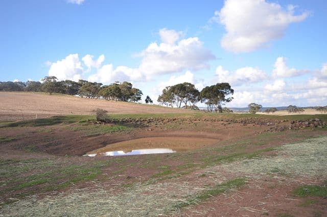 "Huxley's" Curio Highway, Marrabel SA 5413, Marrabel - Thumbnail 8