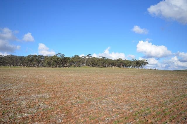 "Huxley's" Curio Highway, Marrabel SA 5413, Marrabel - Thumbnail 6