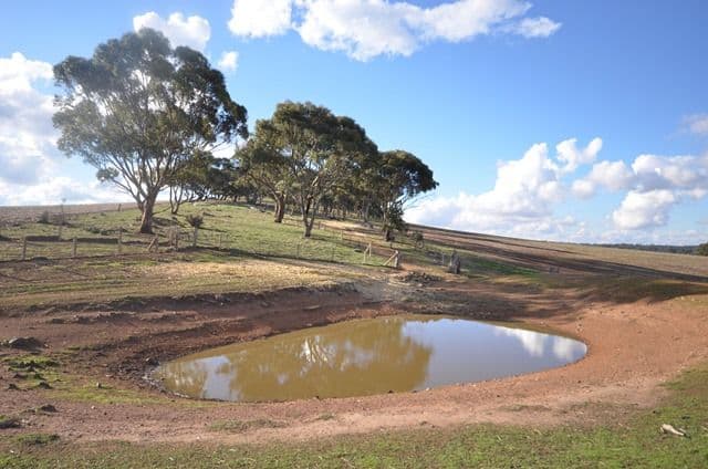 "Huxley's" Curio Highway, Marrabel SA 5413, Marrabel - Thumbnail 7