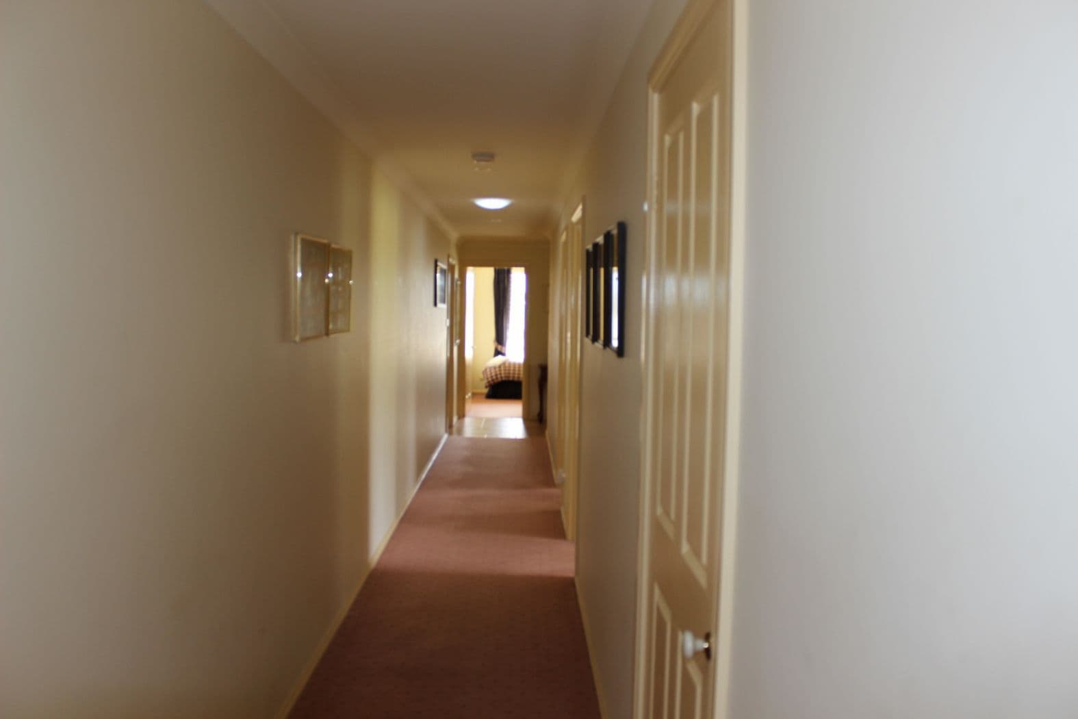 Blayney NSW 2799, Blayney - Thumbnail 8