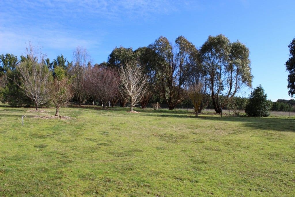 Blayney NSW 2799, Blayney - Thumbnail 2