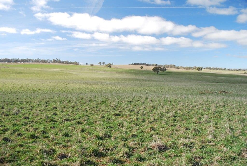 Molong NSW 2866, Molong - Thumbnail 2