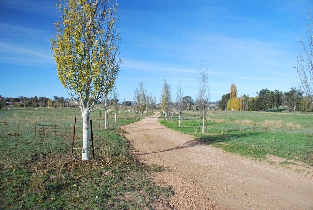 Molong NSW 2866, Molong - Thumbnail 4
