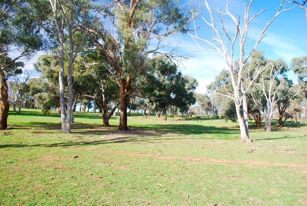 Molong NSW 2866, Molong - Thumbnail 3