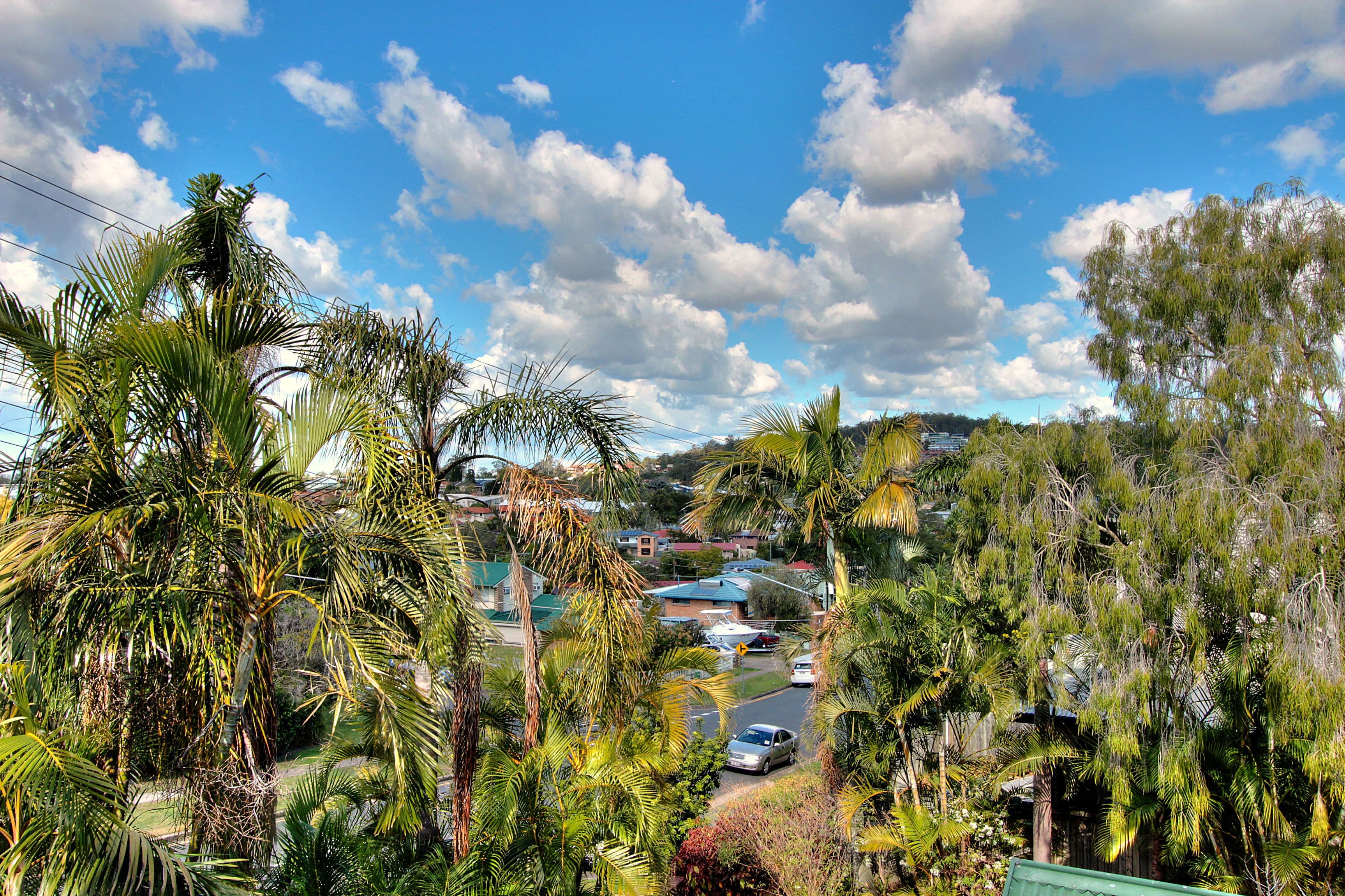 47 Jones Road, Carina Heights QLD 4152, Carina Heights - Thumbnail 3