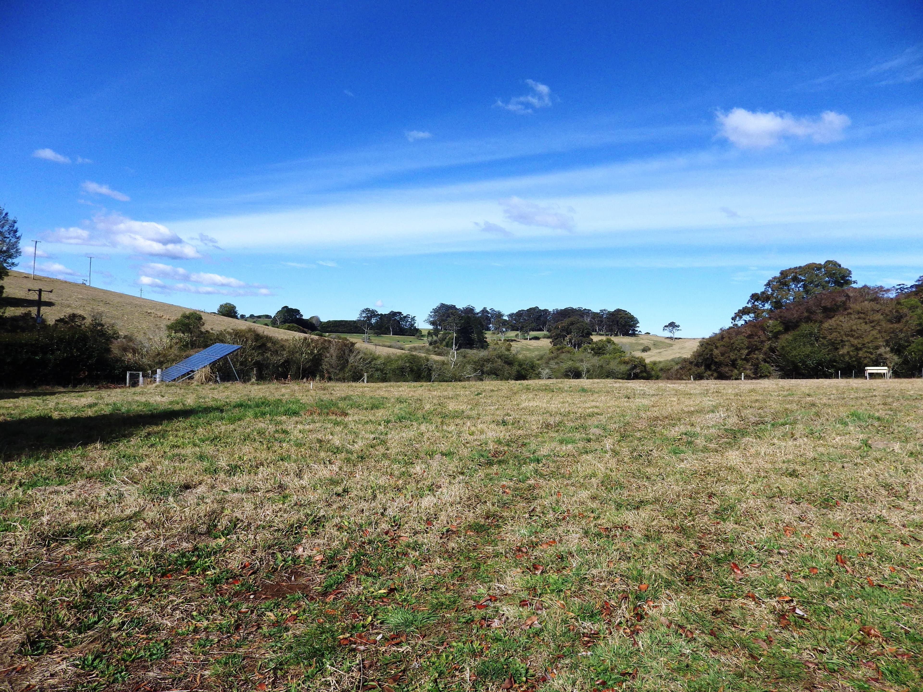 382 shepherds Road, Dorrigo NSW 2453, Dorrigo - Thumbnail 8
