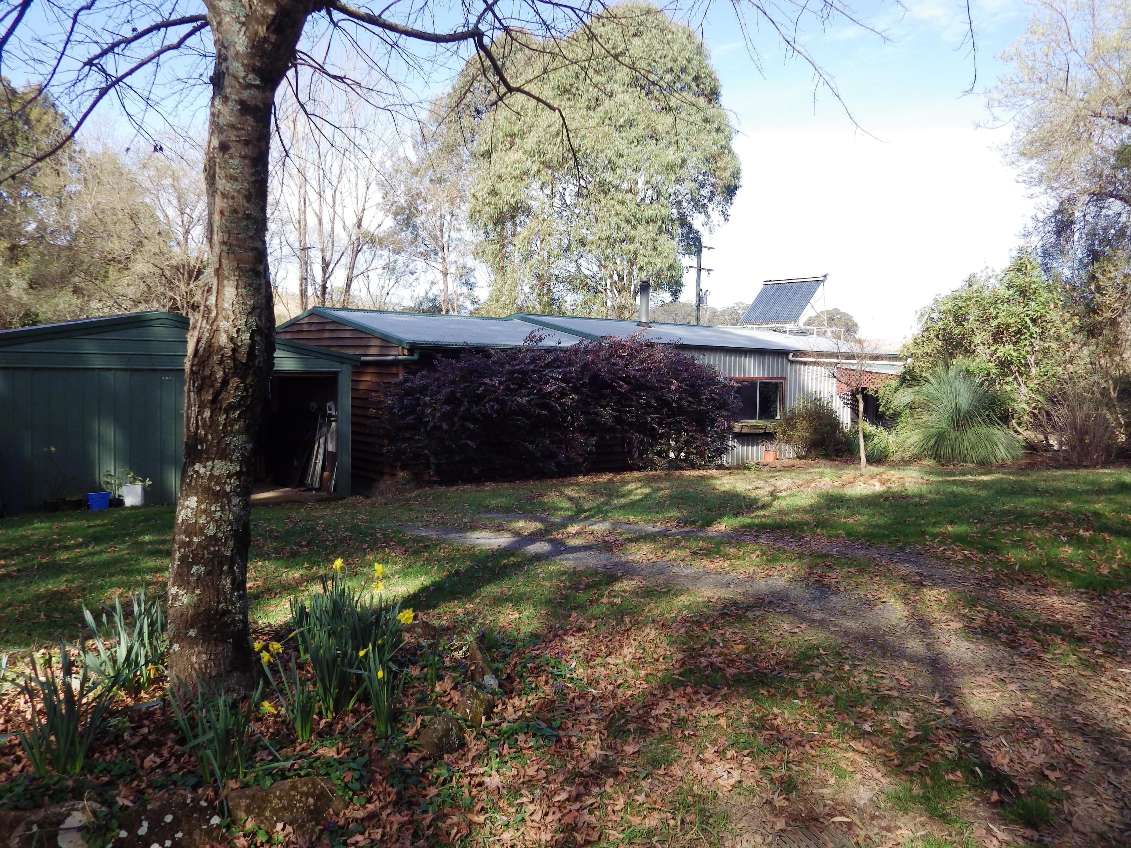 382 shepherds Road, Dorrigo NSW 2453, Dorrigo - Image 1