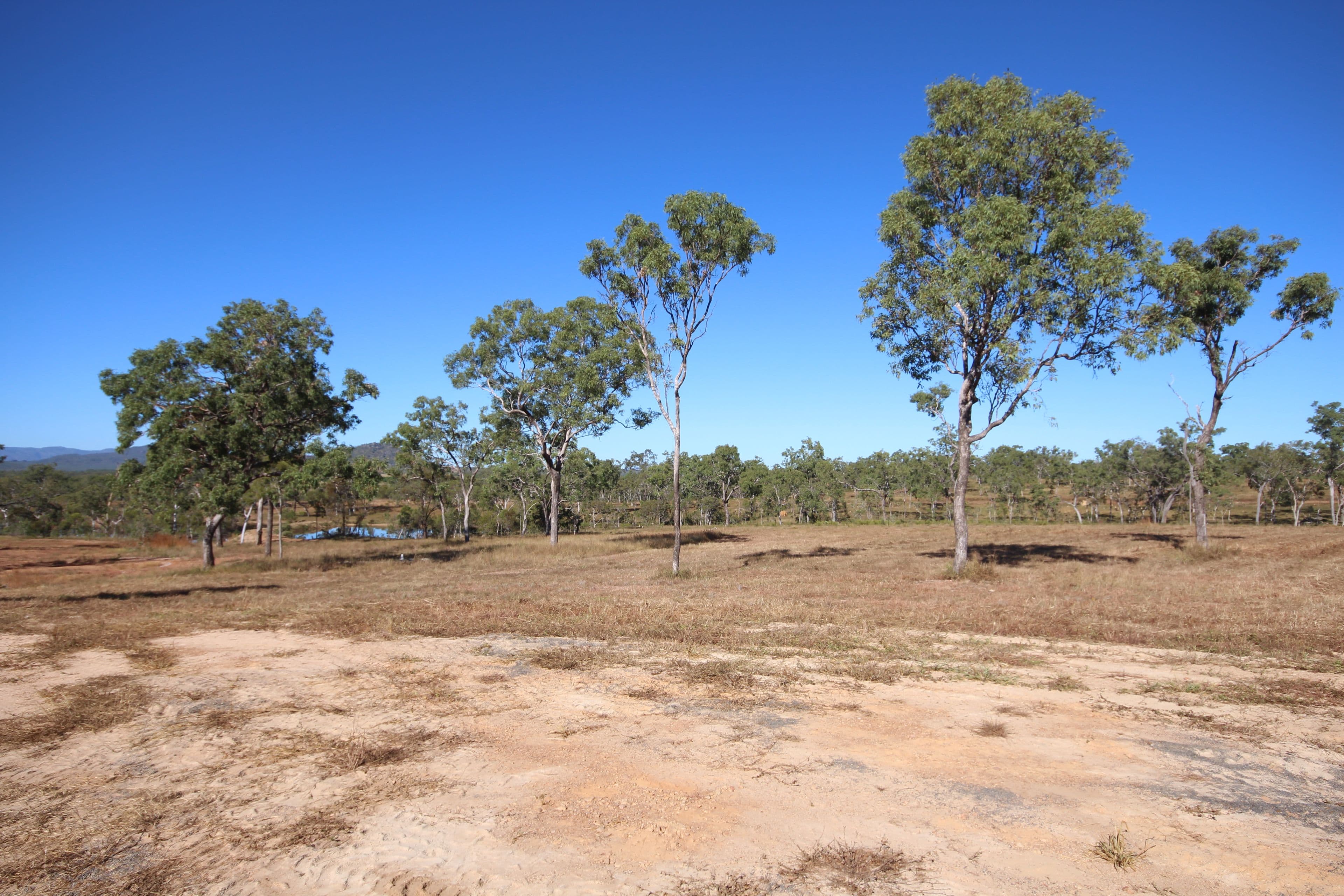 Mareeba QLD 4880, Mareeba - Image 1