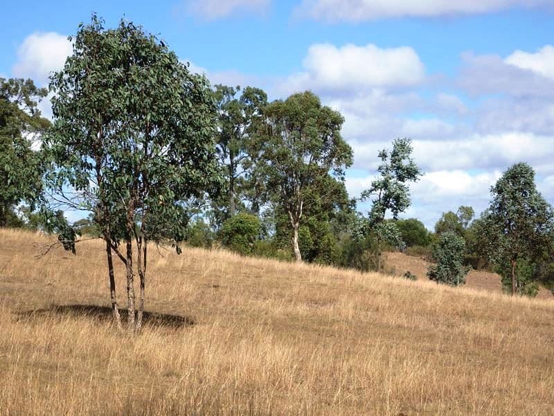 Lot 7 Old Esk Road, Blackbutt QLD 4314, Blackbutt - Thumbnail 2