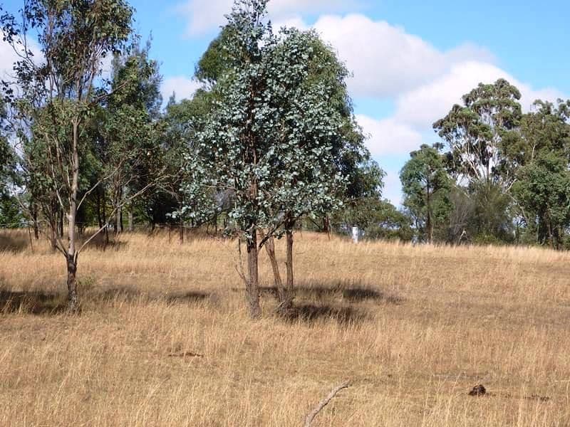 Lot 7 Old Esk Road, Blackbutt QLD 4314, Blackbutt - Thumbnail 5