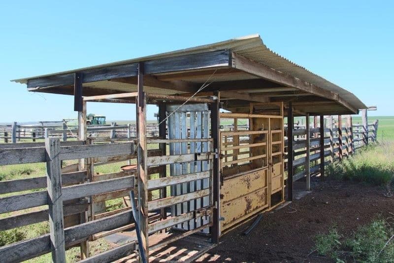 Diamond Downs Kilcummin Road, Clermont QLD 4721, Clermont - Thumbnail 7