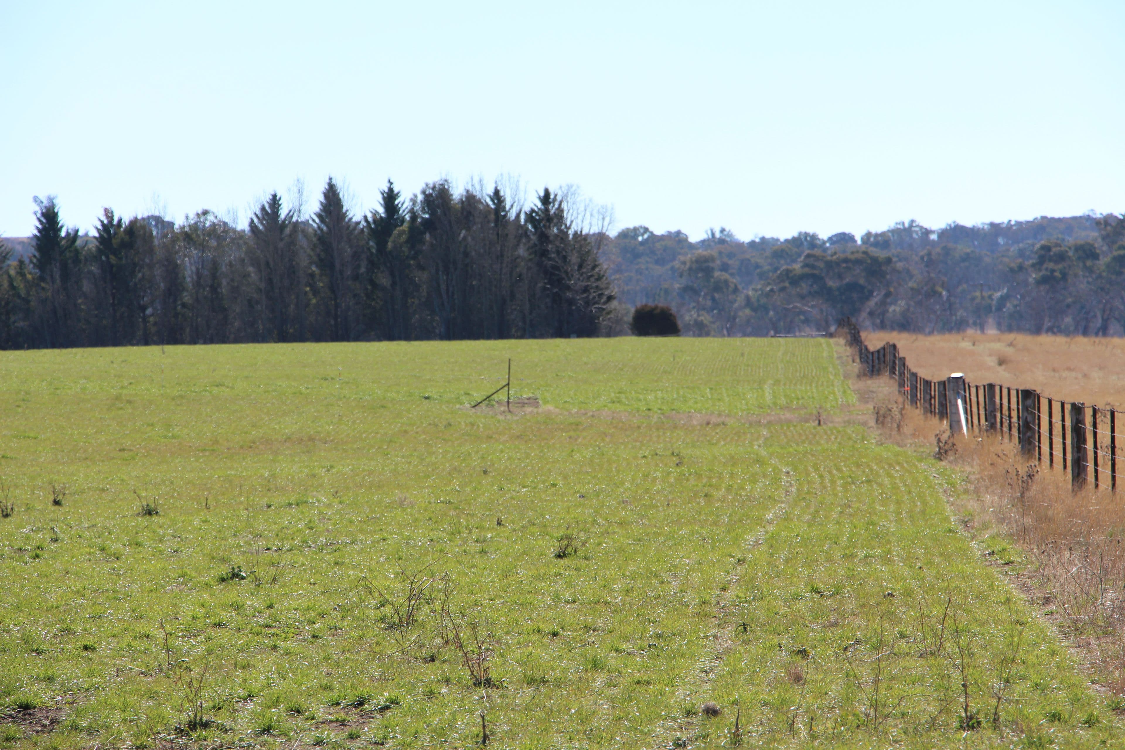 1436 Rockvale Road, Armidale NSW 2350, Armidale - Thumbnail 2