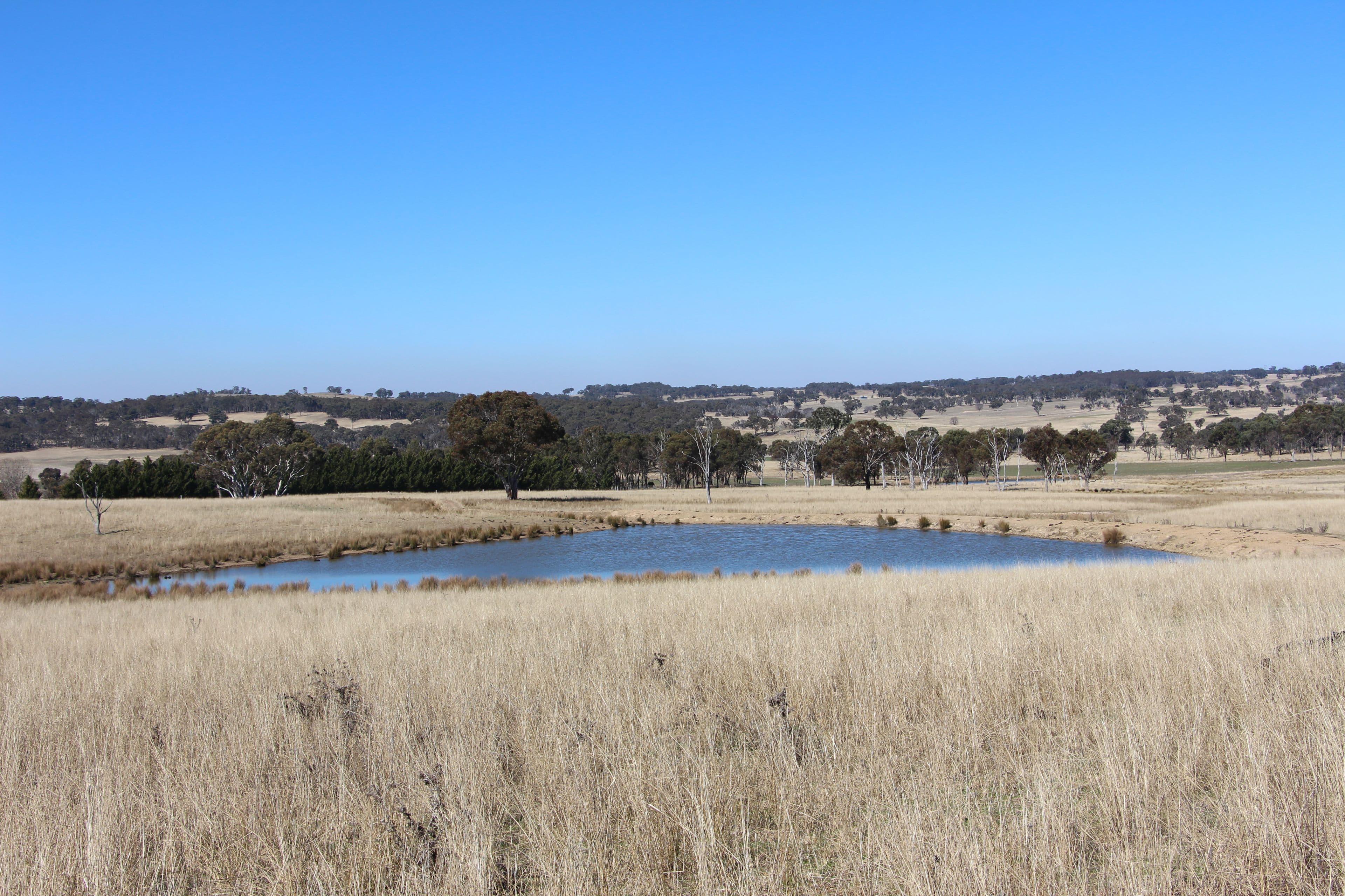 1436 Rockvale Road, Armidale NSW 2350, Armidale - Thumbnail 3