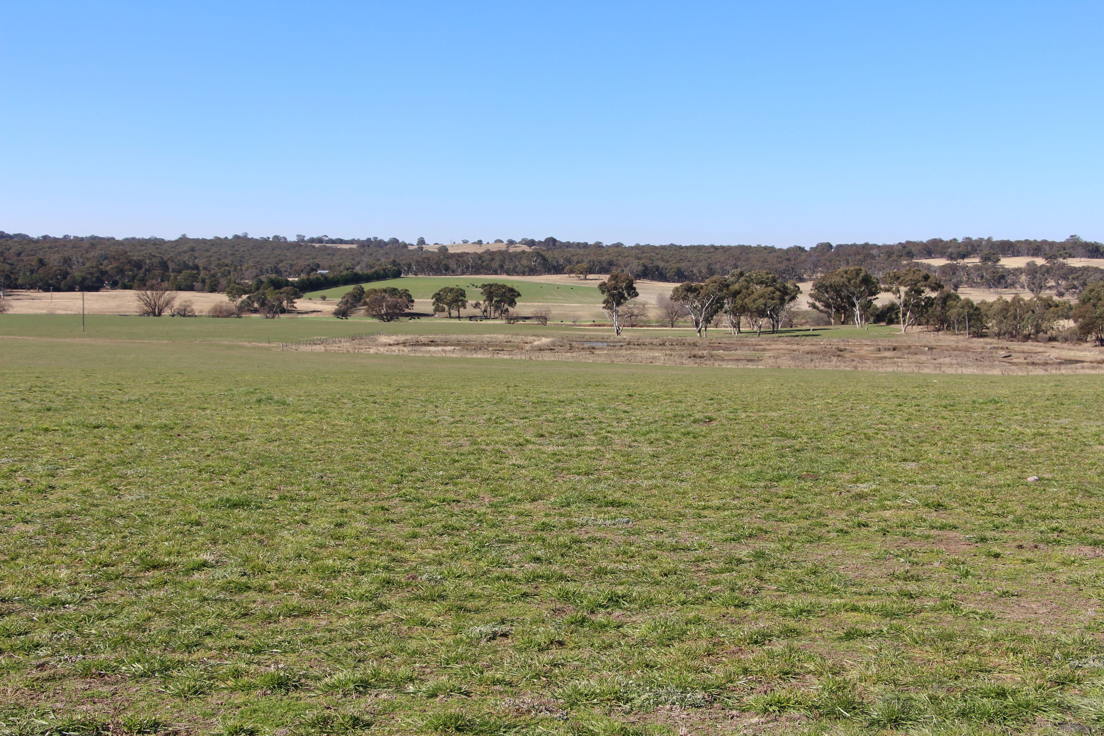 1436 Rockvale Road, Armidale NSW 2350, Armidale - Thumbnail 7