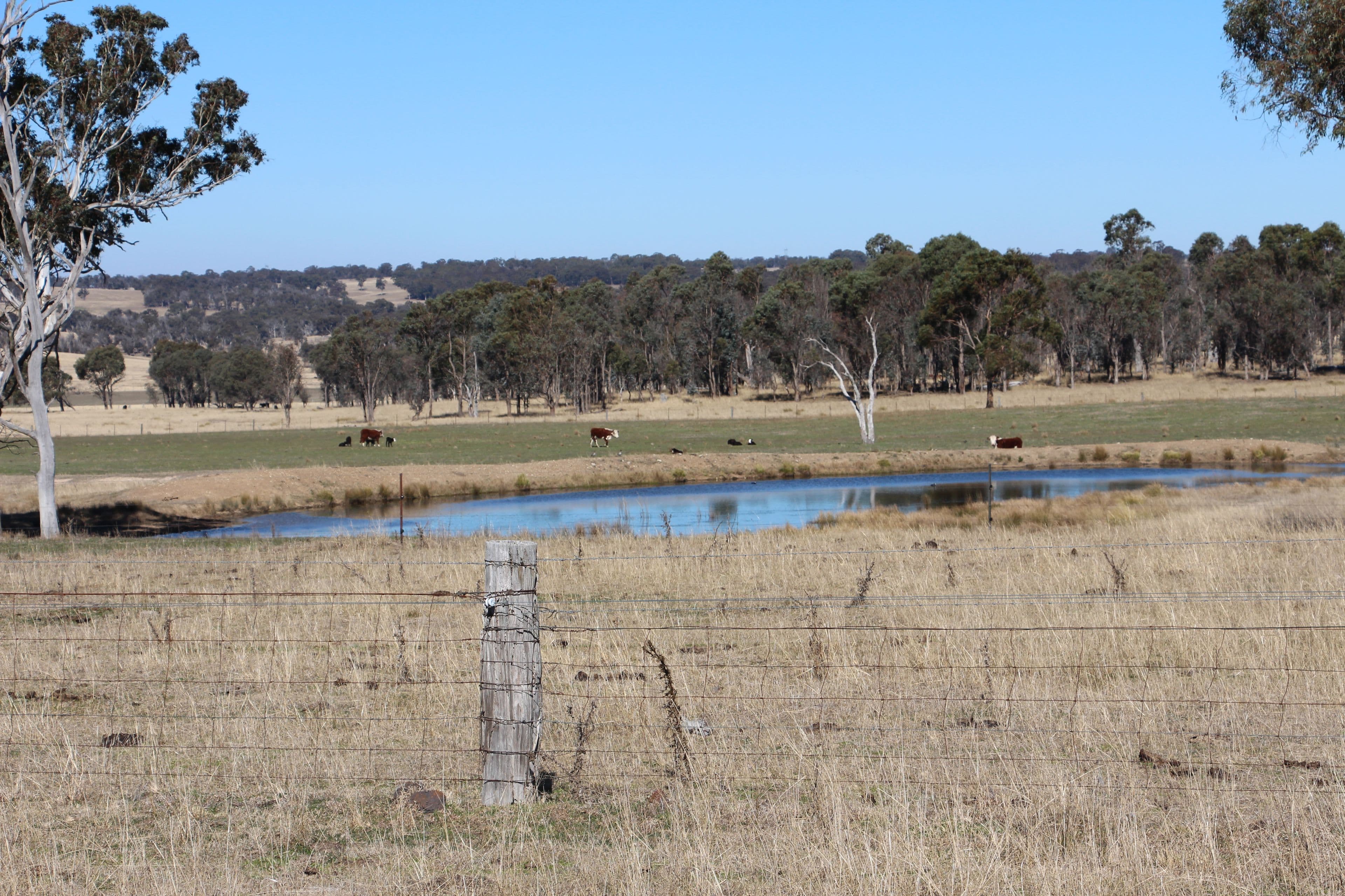 1436 Rockvale Road, Armidale NSW 2350, Armidale - Thumbnail 8