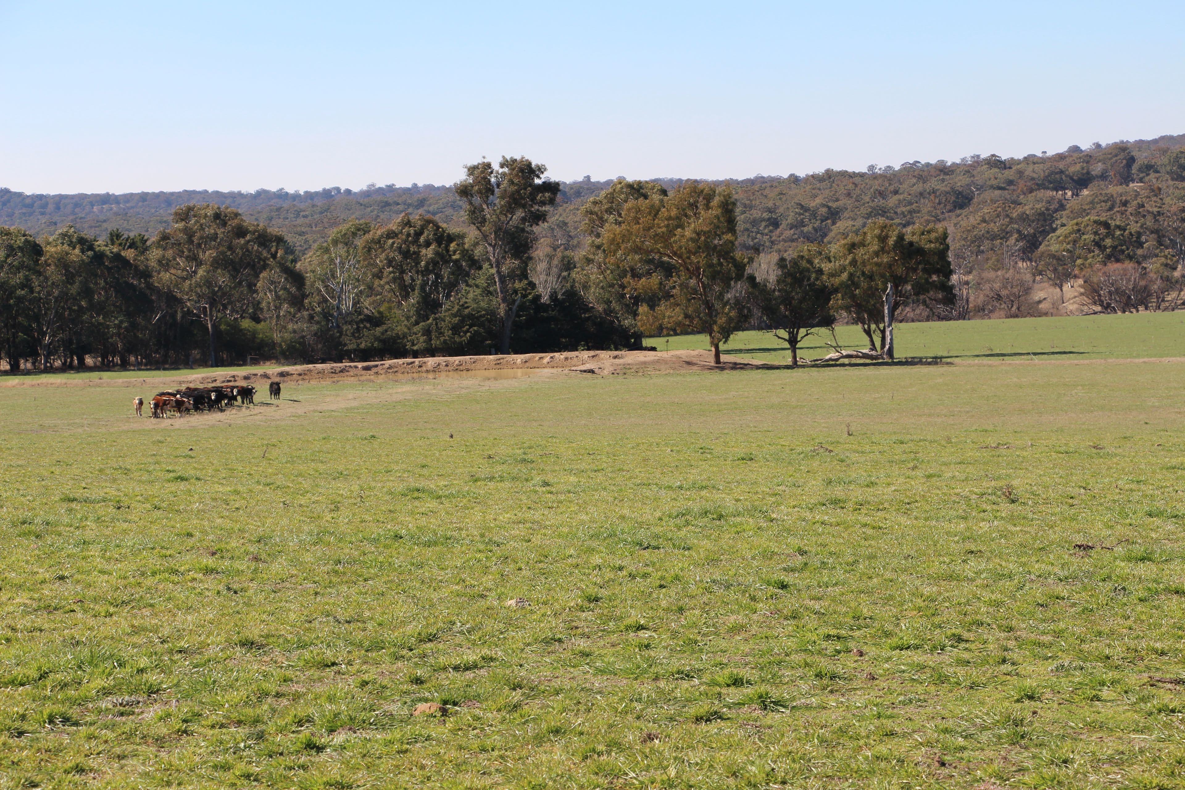 1436 Rockvale Road, Armidale NSW 2350, Armidale - Thumbnail 6
