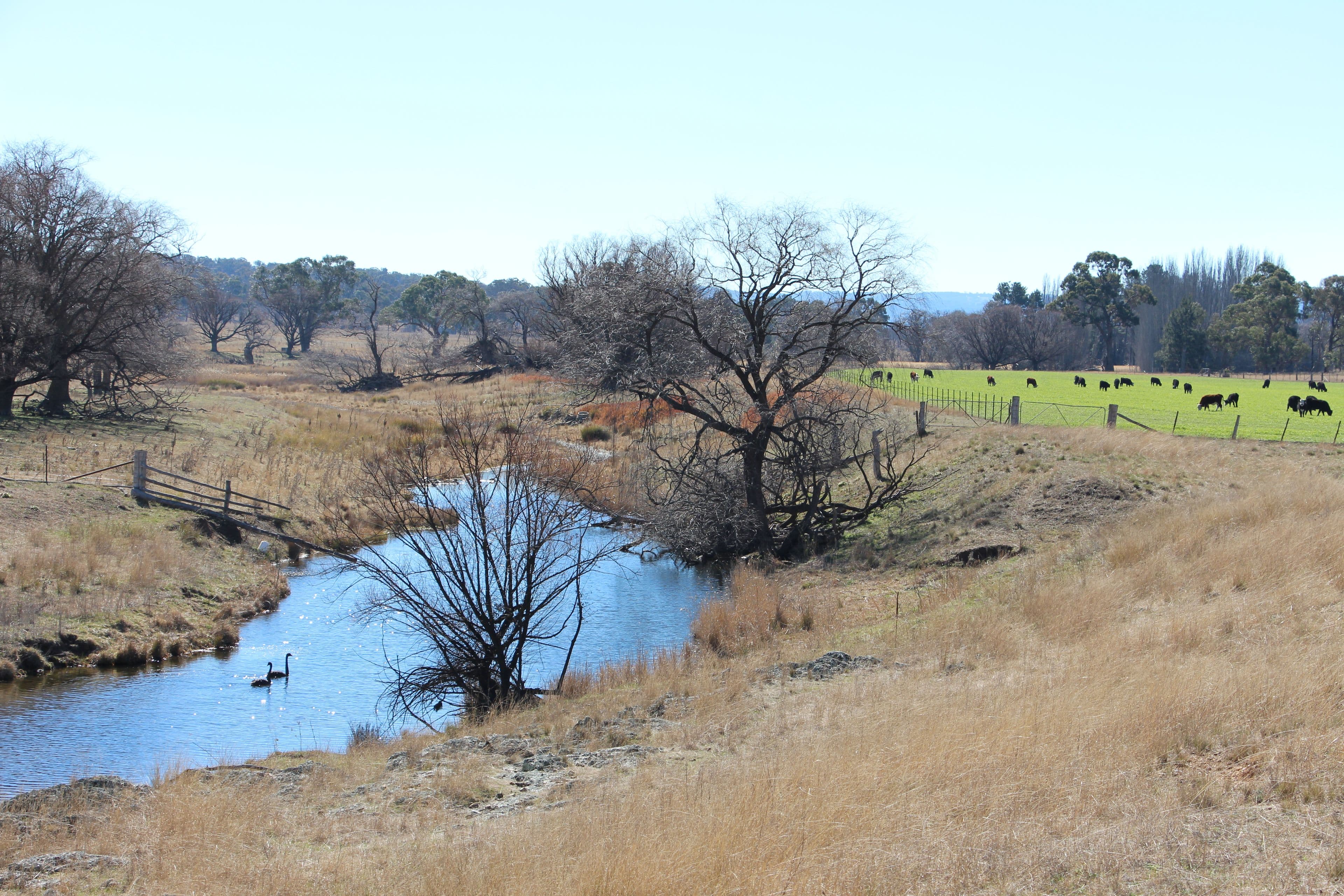 1436 Rockvale Road, Armidale NSW 2350, Armidale - Image 1