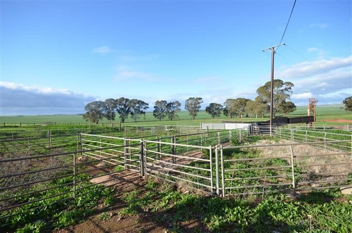 "Wandowie" Pipeline Road, Leighton SA 5417, Leighton - Thumbnail 5