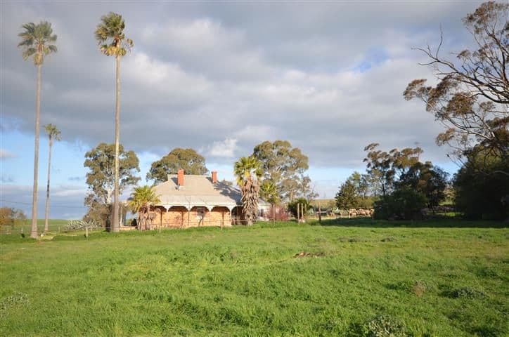 "Wandowie" Pipeline Road, Leighton SA 5417, Leighton - Thumbnail 3