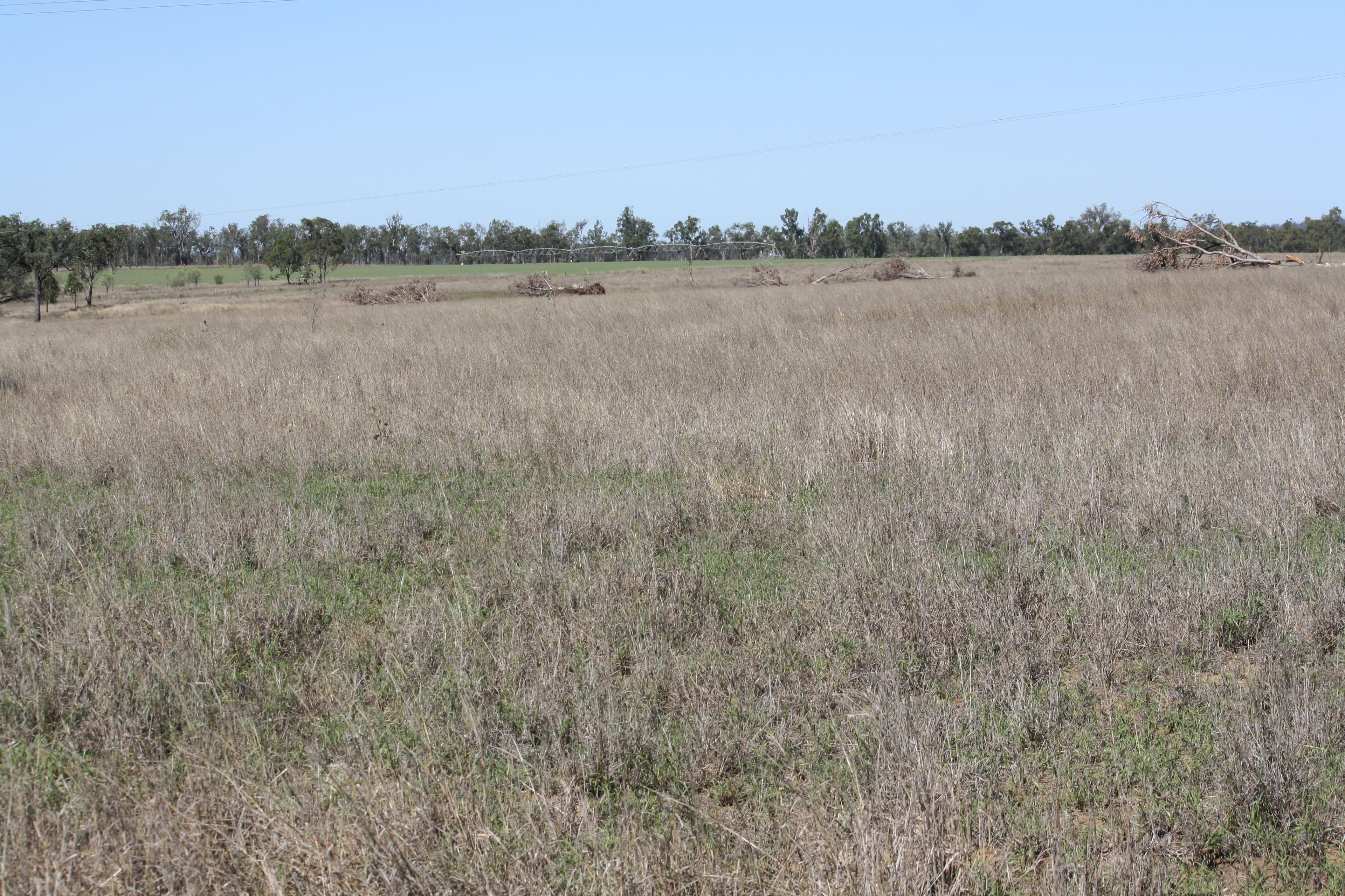 'Barralong' Taylors Road, Mundubbera QLD 4626, Mundubbera - Thumbnail 6