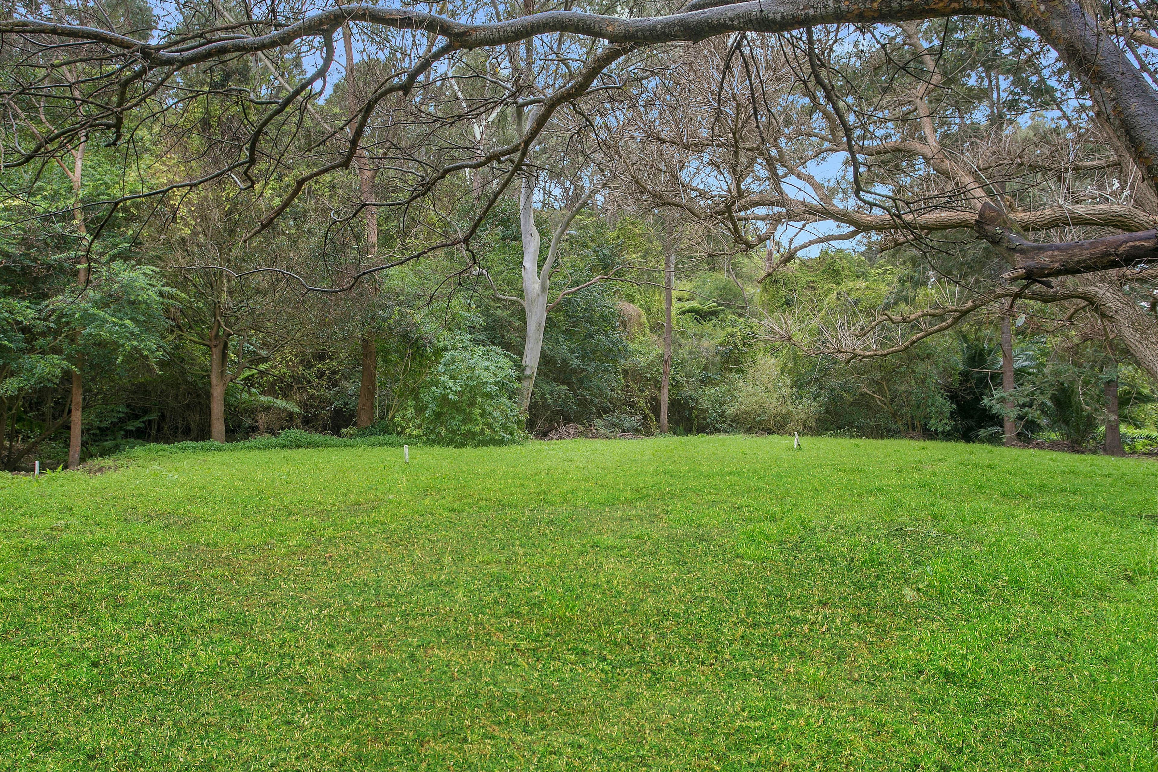 56 Higginbotham Road, Gladesville - Thumbnail 5