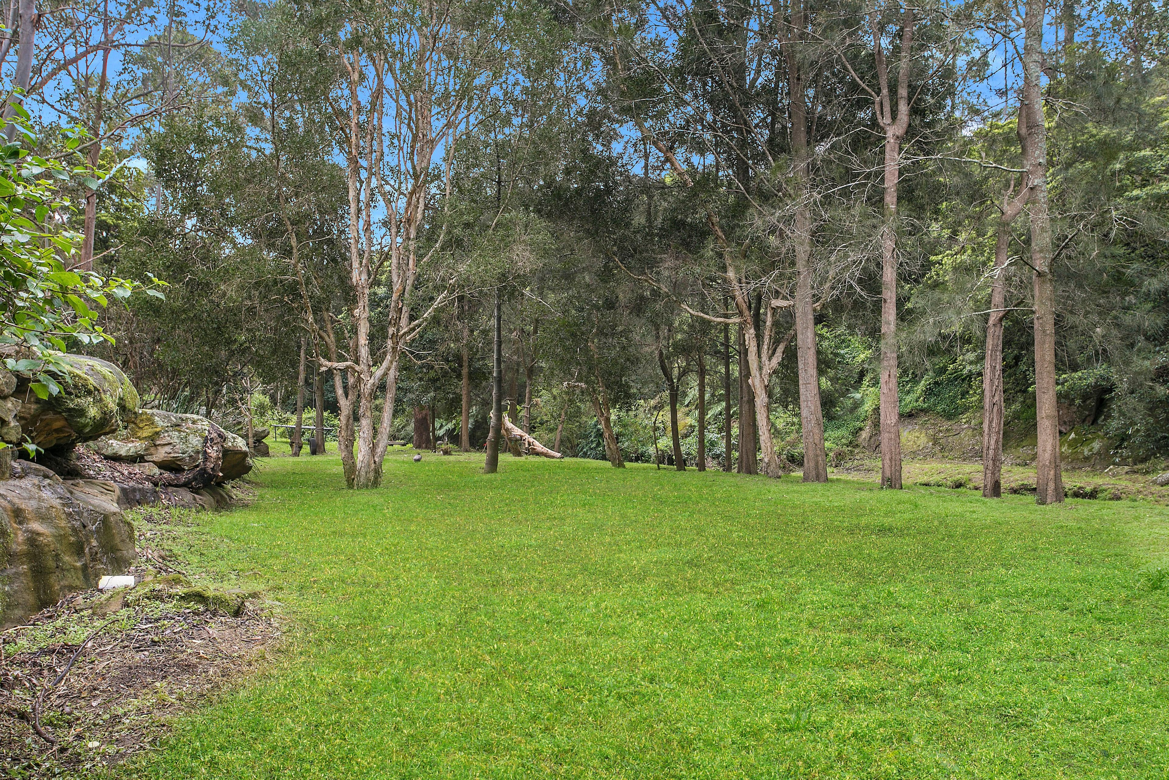 56 Higginbotham Road, Gladesville - Thumbnail 4