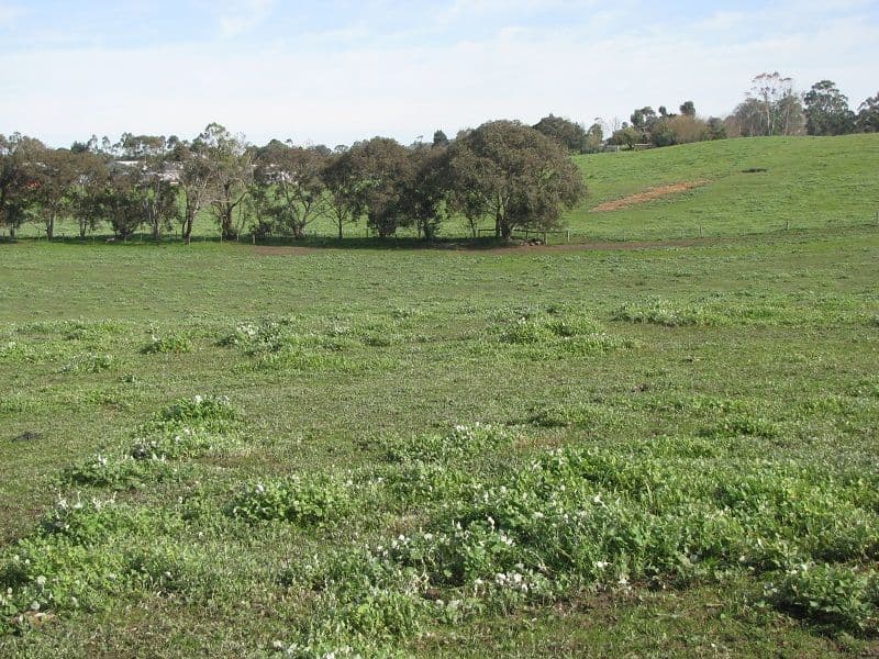 Lot 2 Yahl Main Road, Glenburnie SA 5291, Glenburnie - Thumbnail 4