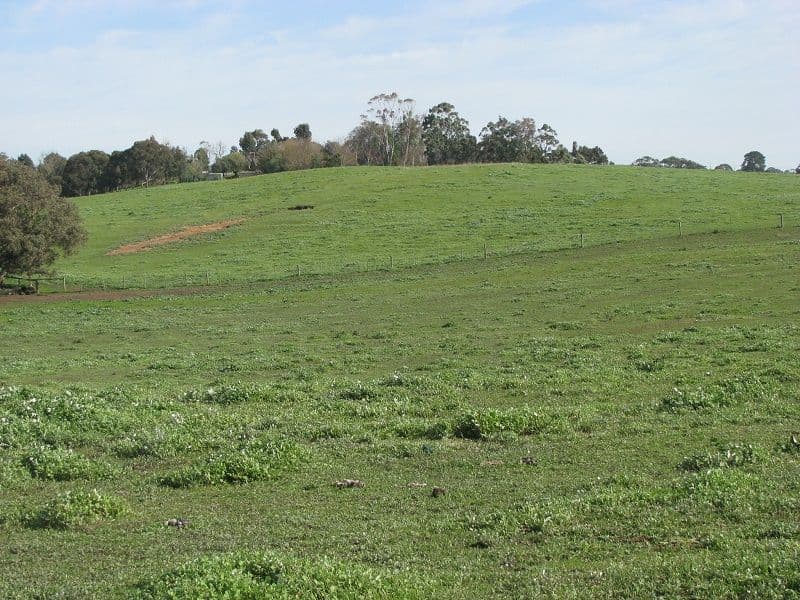 Lot 2 Yahl Main Road, Glenburnie SA 5291, Glenburnie - Thumbnail 3