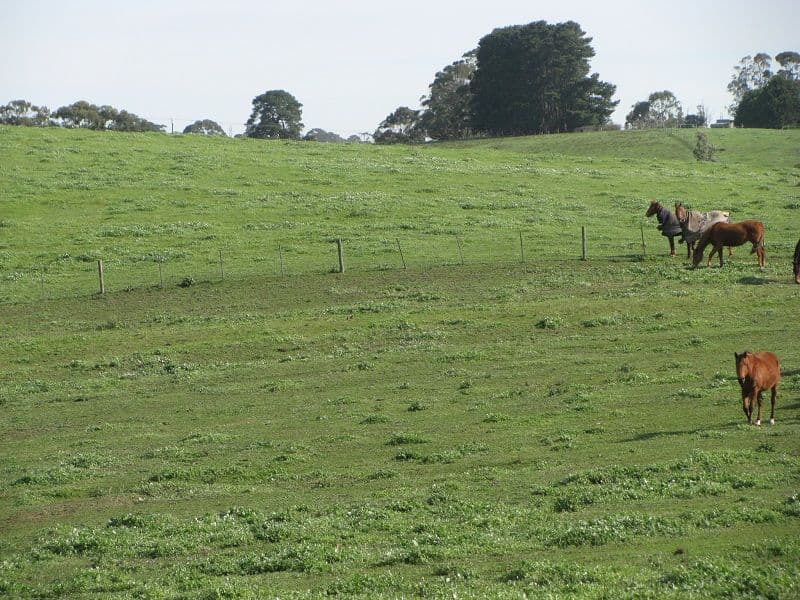 Lot 2 Yahl Main Road, Glenburnie SA 5291, Glenburnie - Thumbnail 8