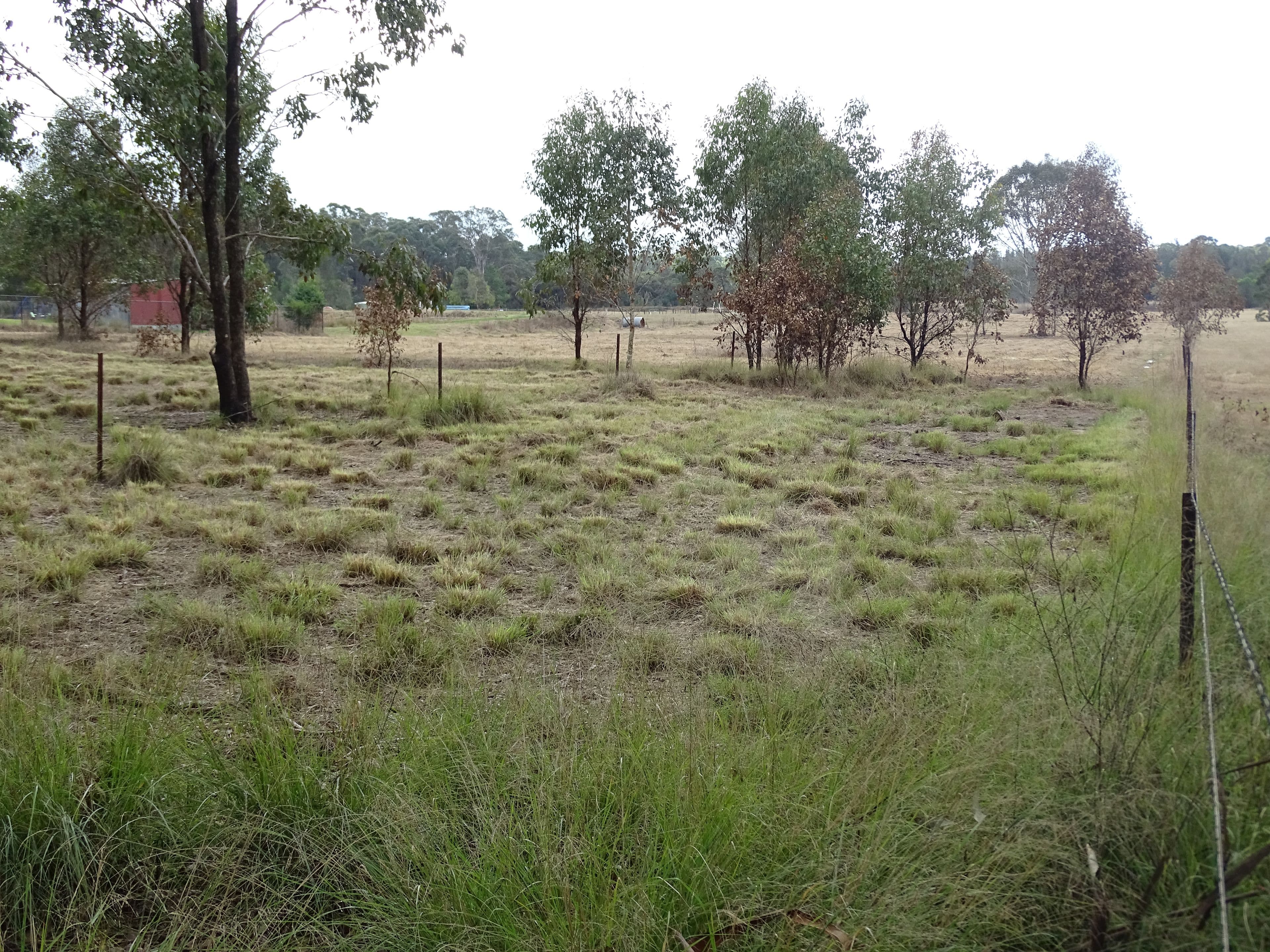 Pitt Town NSW 2756, Pitt Town - Thumbnail 2