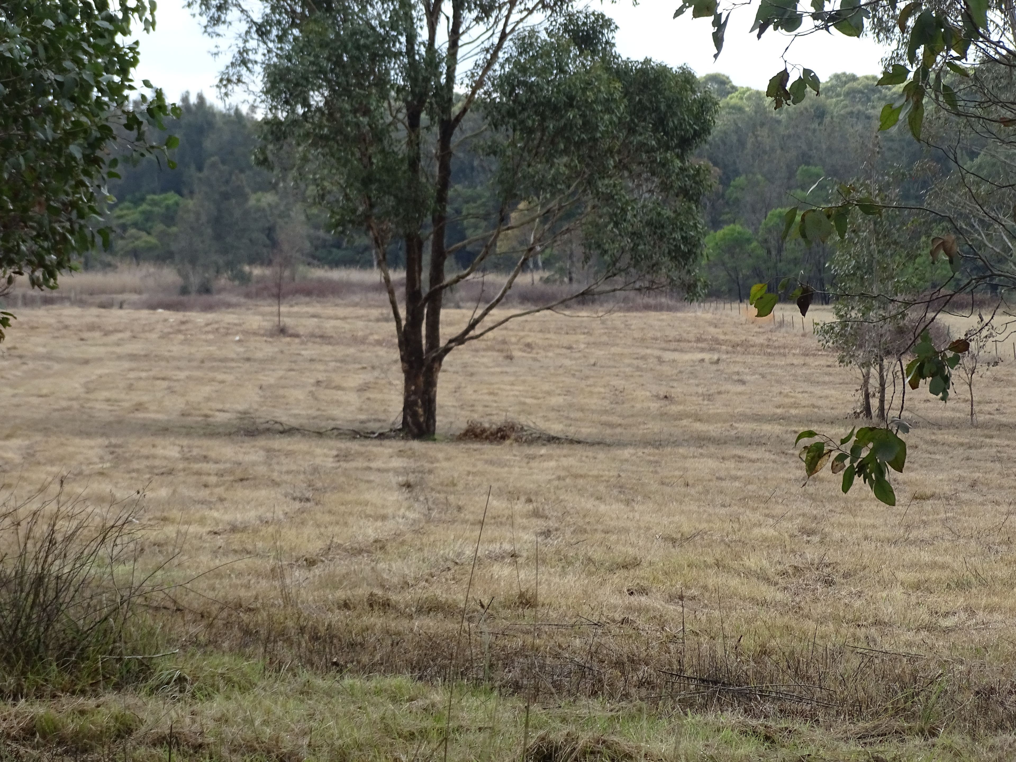 Pitt Town NSW 2756, Pitt Town - Image 1