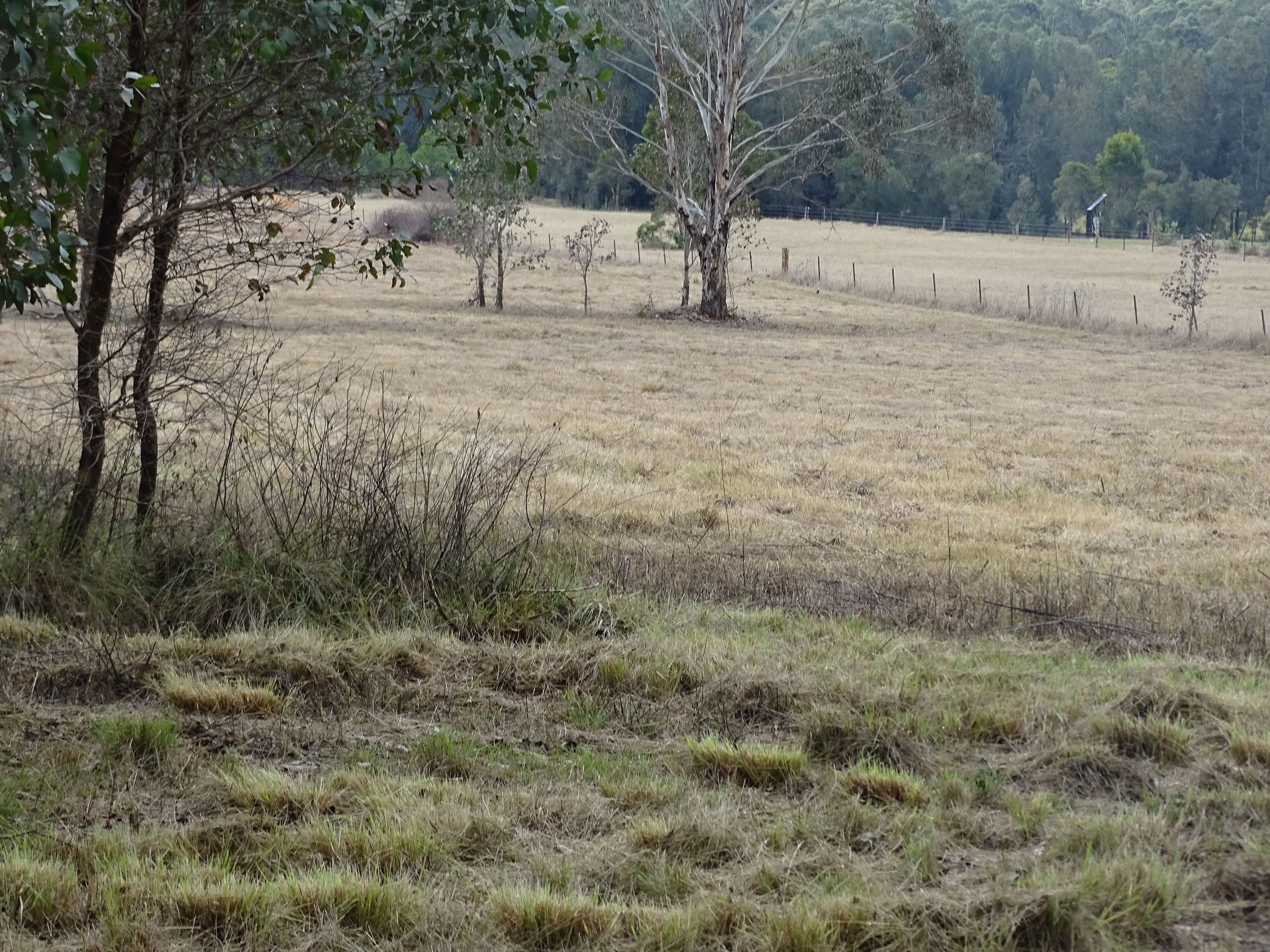 Pitt Town NSW 2756, Pitt Town - Thumbnail 3