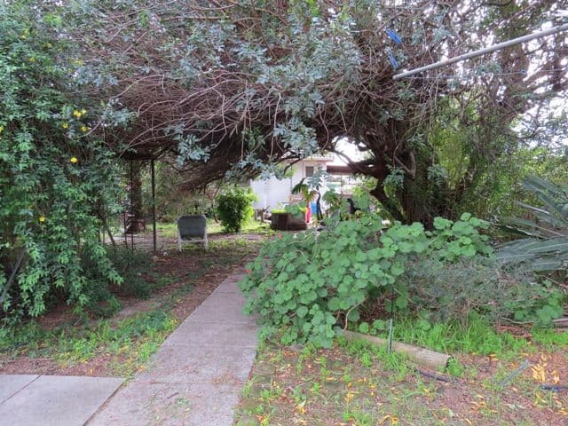 9 Sussex Road, Forrestfield WA 6058, Forrestfield - Thumbnail 6