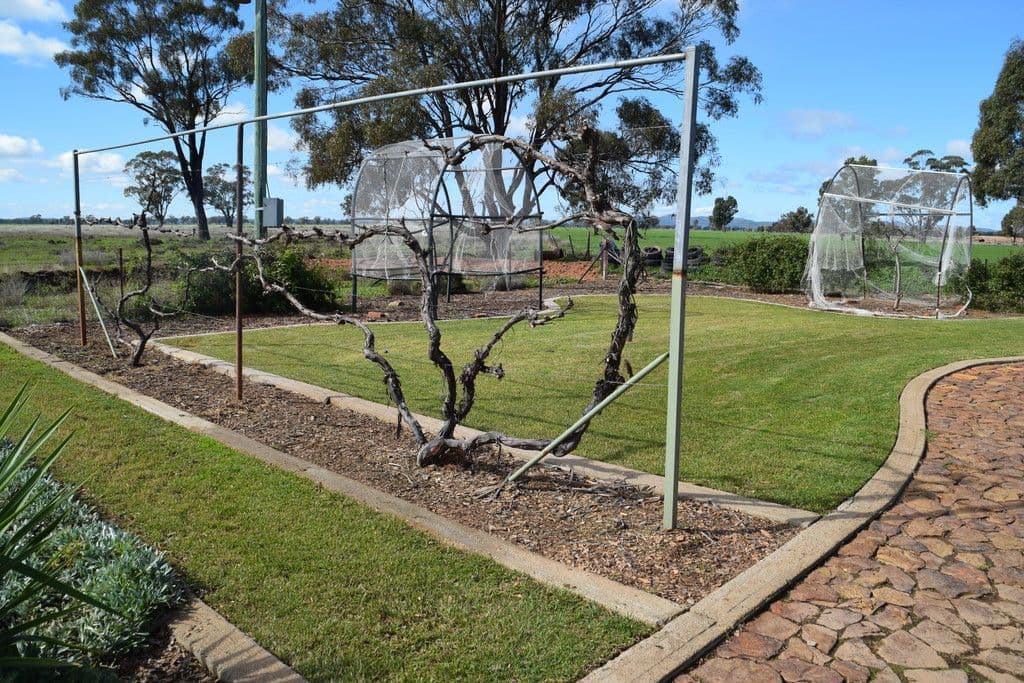 'Utopia' 725 Tomingley Road, Narromine NSW 2821, Narromine - Thumbnail 2