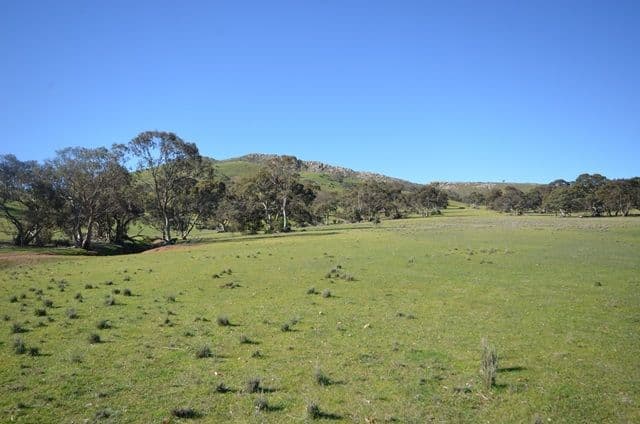 "Kellys" Cattle Station Road, Mount Bryan SA 5418, Mount Bryan - Thumbnail 4