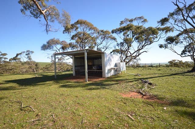 "Kellys" Cattle Station Road, Mount Bryan SA 5418, Mount Bryan - Thumbnail 6