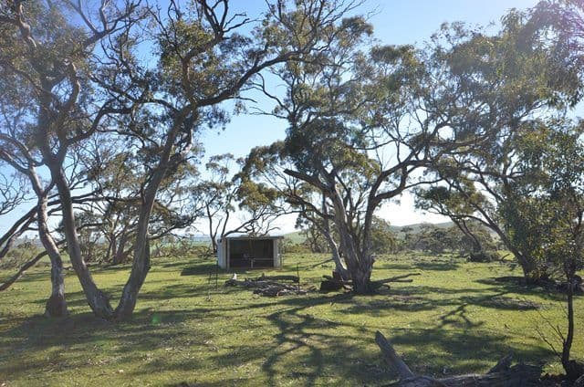 "Kellys" Cattle Station Road, Mount Bryan SA 5418, Mount Bryan - Thumbnail 7