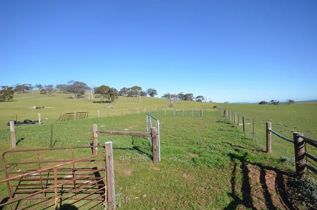 "Kellys" Cattle Station Road, Mount Bryan SA 5418, Mount Bryan - Thumbnail 8