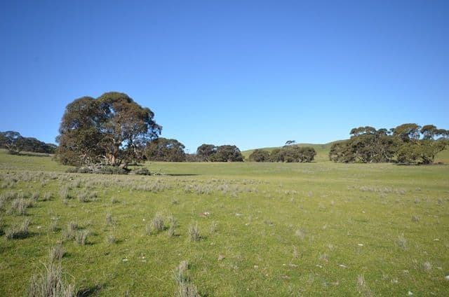 "Kellys" Cattle Station Road, Mount Bryan SA 5418, Mount Bryan - Thumbnail 3