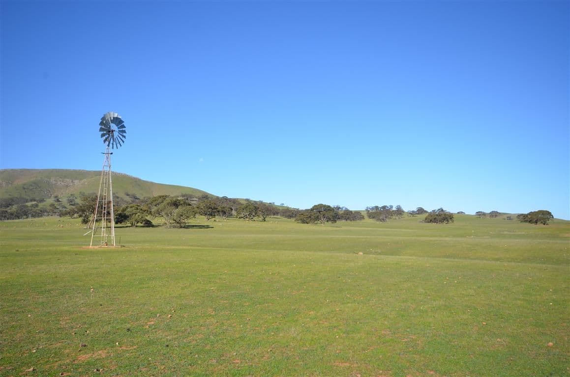 "Kellys" Cattle Station Road, Mount Bryan SA 5418, Mount Bryan - Thumbnail 2