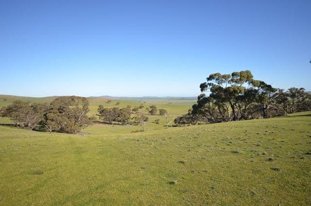 "Kellys" Cattle Station Road, Mount Bryan SA 5418, Mount Bryan - Thumbnail 5