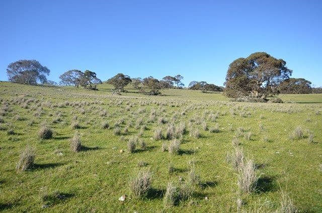 "Kellys" Cattle Station Road, Mount Bryan SA 5418, Mount Bryan - Image 1