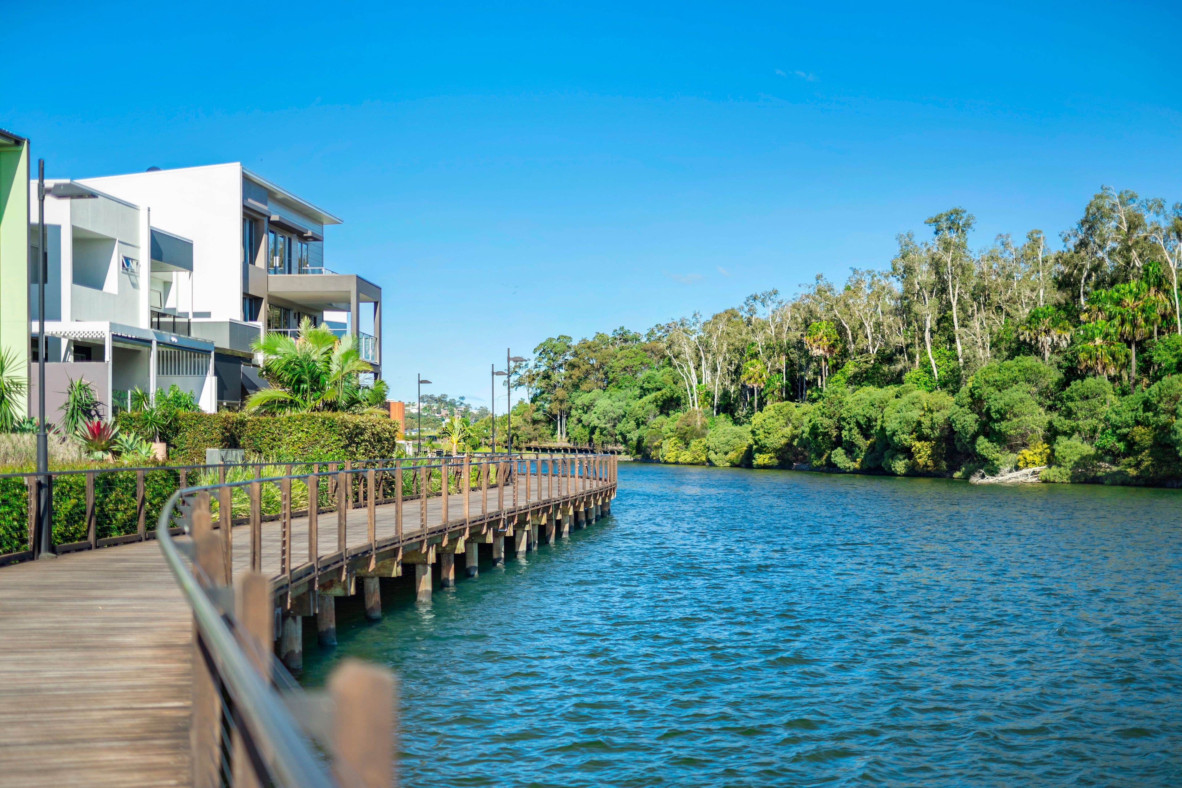 Lot 83 Eli Lane, Maroochydore QLD 4558, Maroochydore - Thumbnail 3