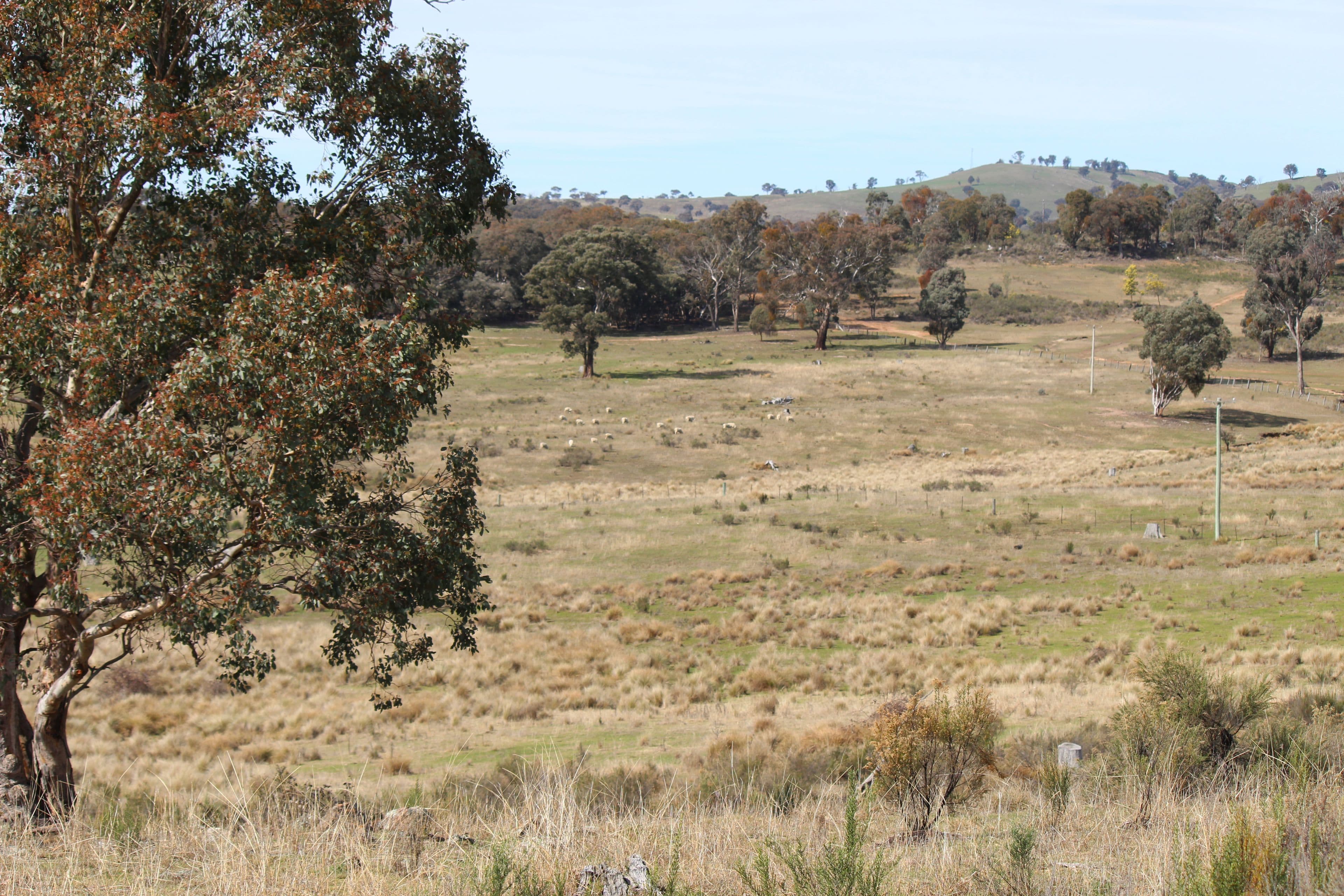 267 Slatterys Road, Bathurst NSW 2795, Bathurst - Thumbnail 4