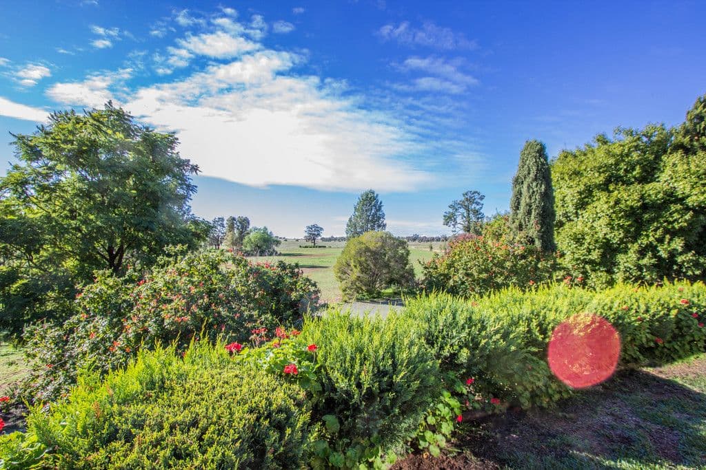 191 Manderlay Road, Narrandera NSW 2700, Narrandera - Thumbnail 5