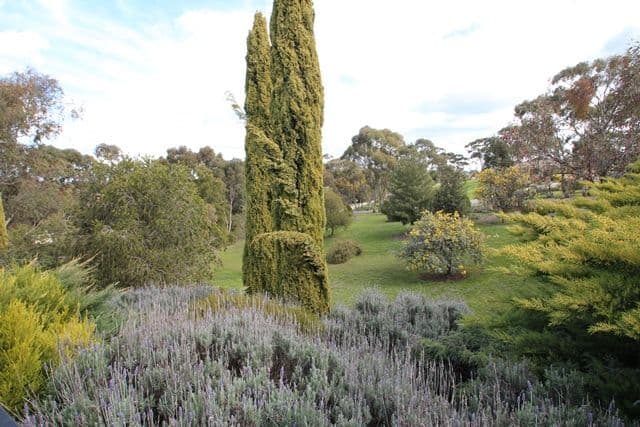 7 March Court, Clare SA 5453, Clare - Thumbnail 4