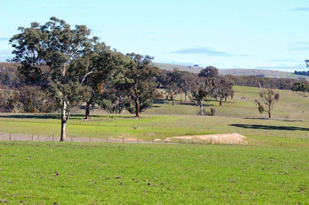 Bathurst NSW 2795, Bathurst - Thumbnail 6
